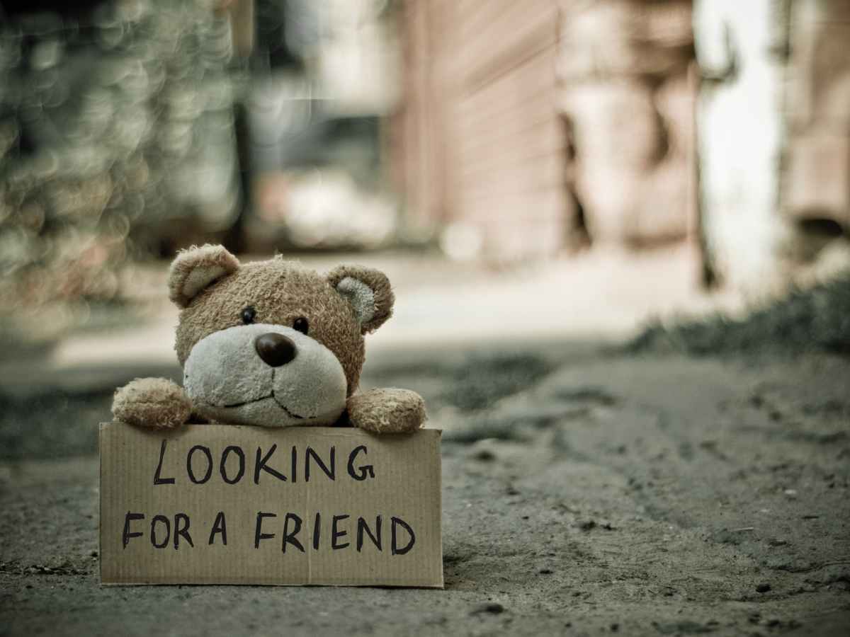 Comforting Animals when a real pet is not&nbsp;practical